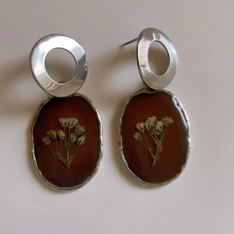 Silver Brown Earrings