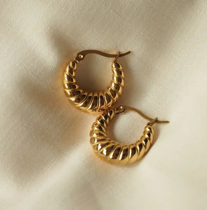 Chunky Twist Earrings